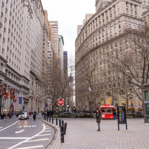 NY (261)