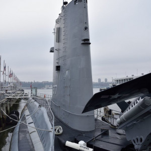 NY (279)