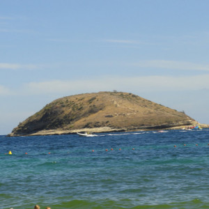 DSC00461