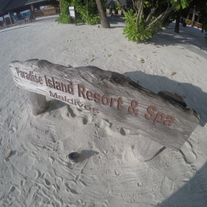 GOPR0625