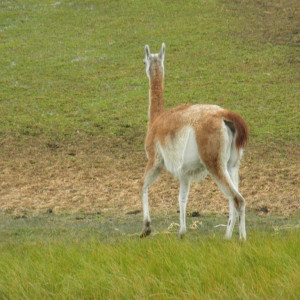 P3100297