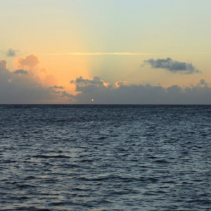 _MG_3131_phixr