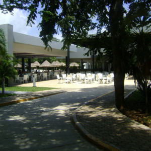 DSC00110