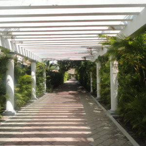 DSC09705