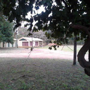 20170617_163304