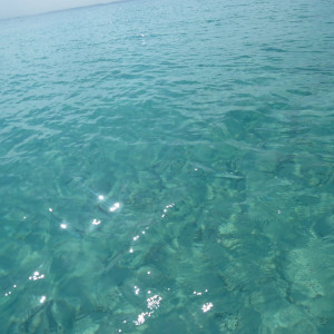 Praia4