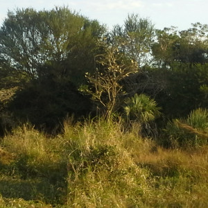 20170619_160421