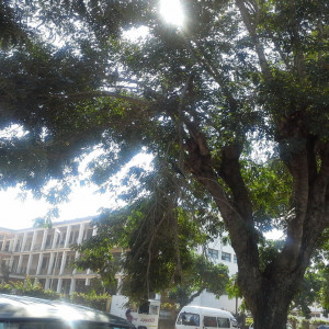 20170622_111426