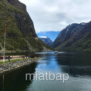 IMG_5685-1