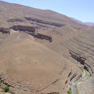 P1000705