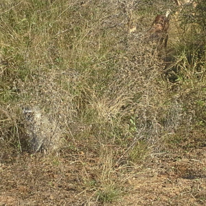 20170625_125309