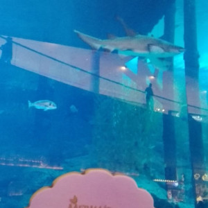 Dubai Mall