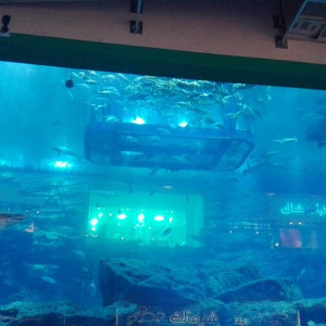 Dubai Mall