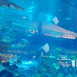 Dubai Mall