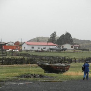 P3110376