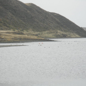 P3110377