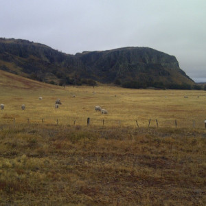 IMG-20120312-00122