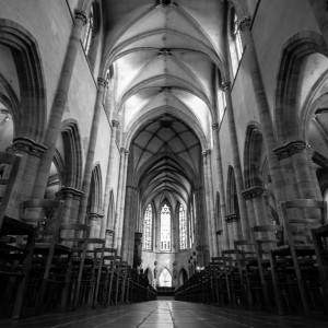 DSC_8039 (Copiar)