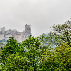 DSC_8471-Editar (Copiar)