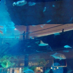 Dubai Mall