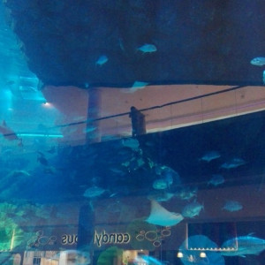 Dubai Mall
