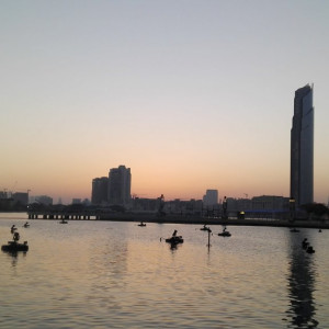 Festival City