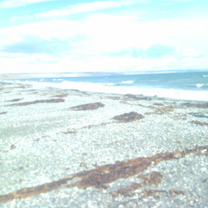 IMG-20120309-00058