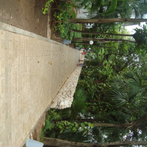 DSC04657