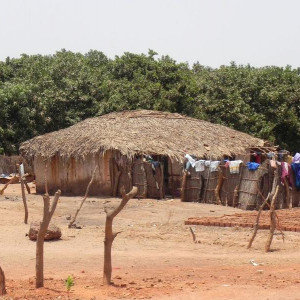 Gâmbia 12 265