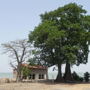 Gâmbia 12 275
