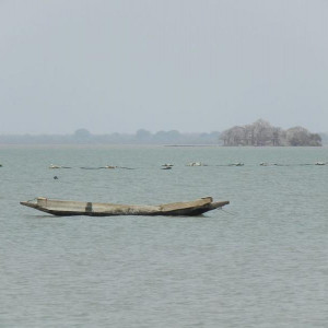 Gâmbia 12 284
