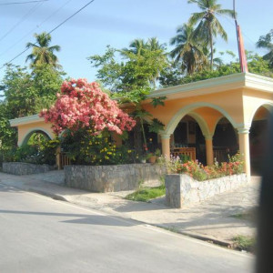 DSC 0029