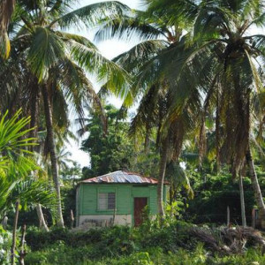 DSC 0056