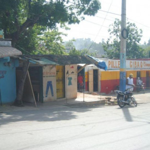 DSC 0095