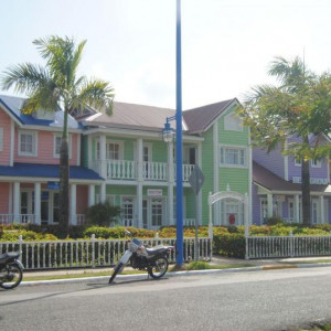 DSC 0102