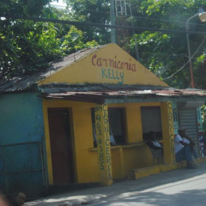 DSC 0110