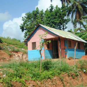 DSC 0113