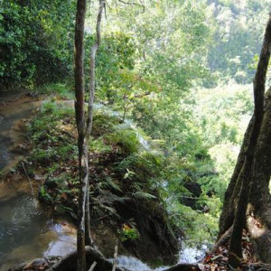 DSC 0201