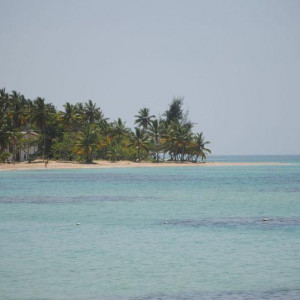 DSC 0333