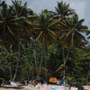 DSC 0393