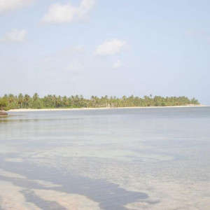 DSC 0744