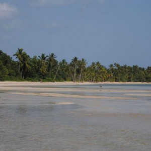 DSC 0751
