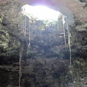 IMG 1579 (Copy) edited 1