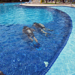 IMG 1499 (Copy) edited 1