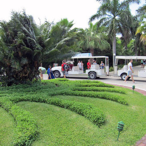 IMG 1313 (Copy) edited 1
