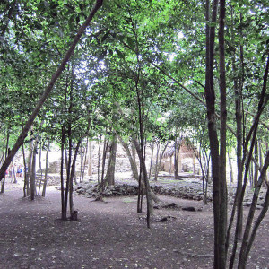 IMG 1430 (Copy) edited 1