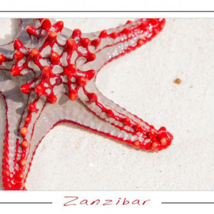 zanzibar
