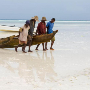 zanzibar 19