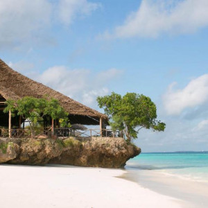 zanzibar 133