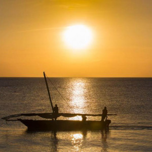 zanzibar 357